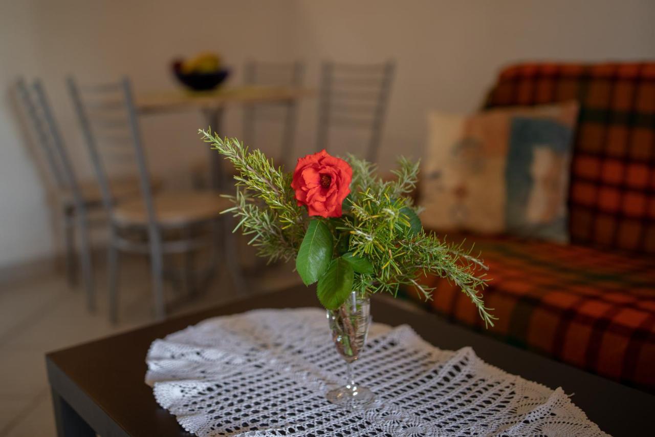 Apartman Kristo 비르 외부 사진